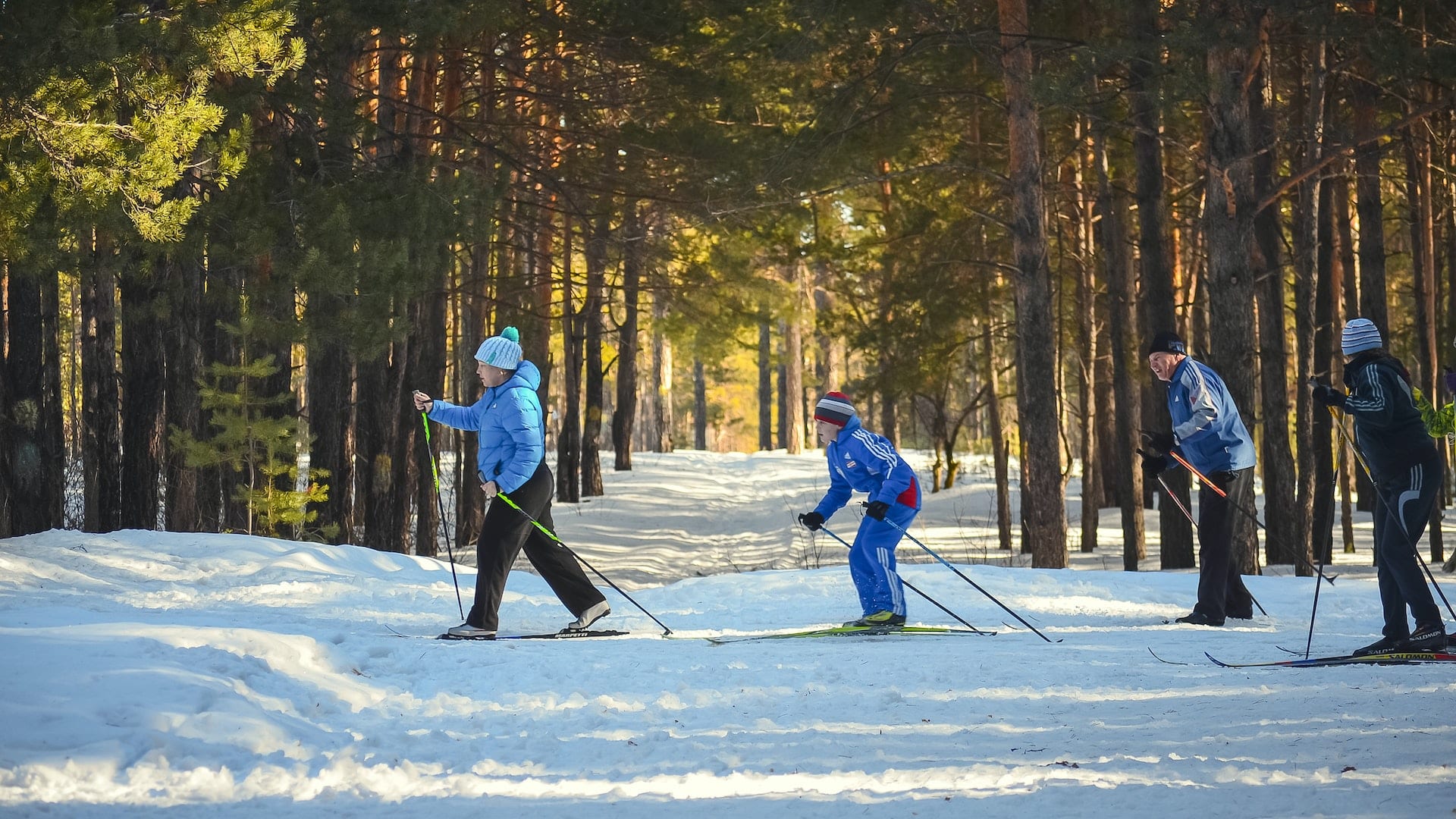 Cross-country skiing in the woods